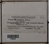 Image Associated With the Occurence